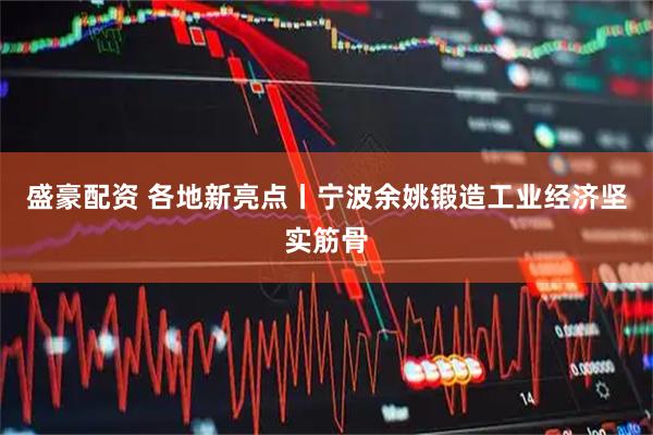 盛豪配资 各地新亮点丨宁波余姚锻造工业经济坚实筋骨