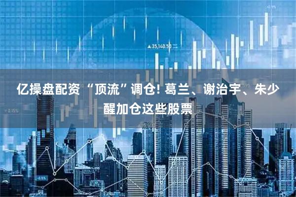 亿操盘配资 “顶流”调仓! 葛兰、谢治宇、朱少醒加仓这些股票
