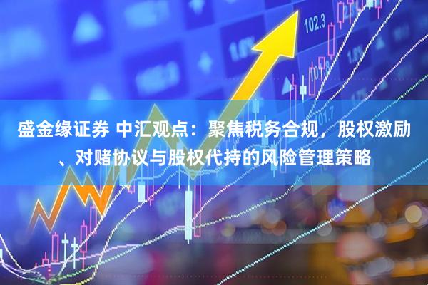 盛金缘证券 中汇观点:聚焦税务合规,股权激励、对赌协议与股权代持的风险管理策略